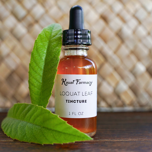 Loquat Extract Loquat Leaf Tincture | Farm-Grown Herbal Extract | Kauai Farmacy