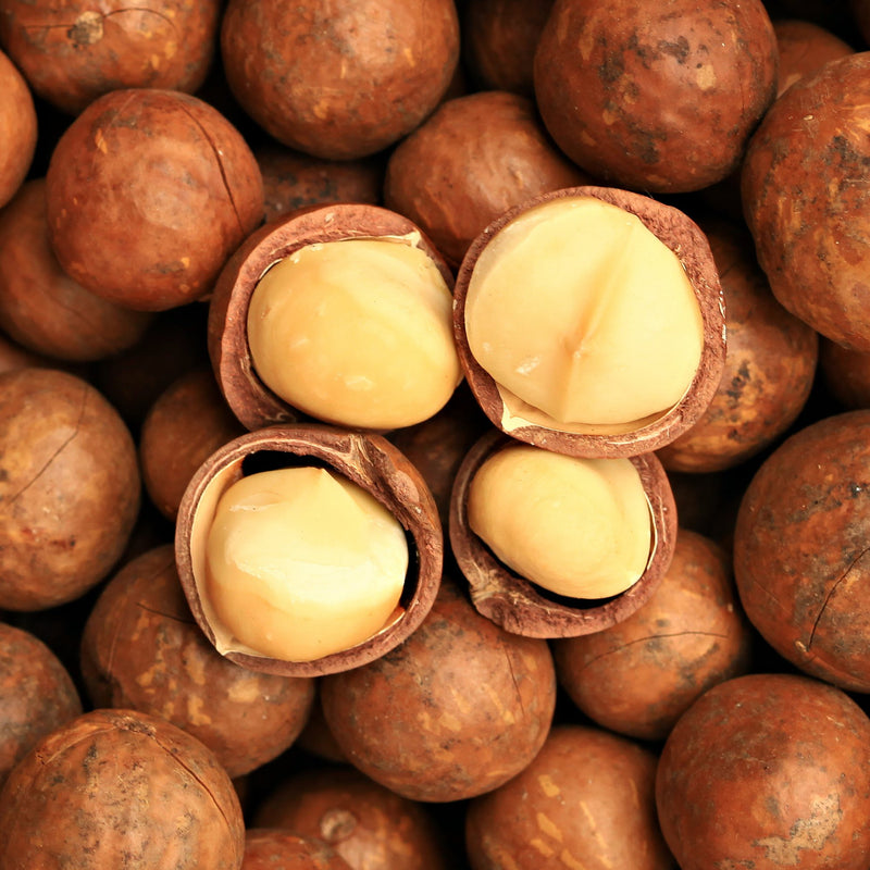Macadamia Nut Oil