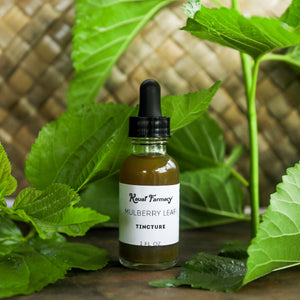 NEW! Mulberry Leaf Tincture