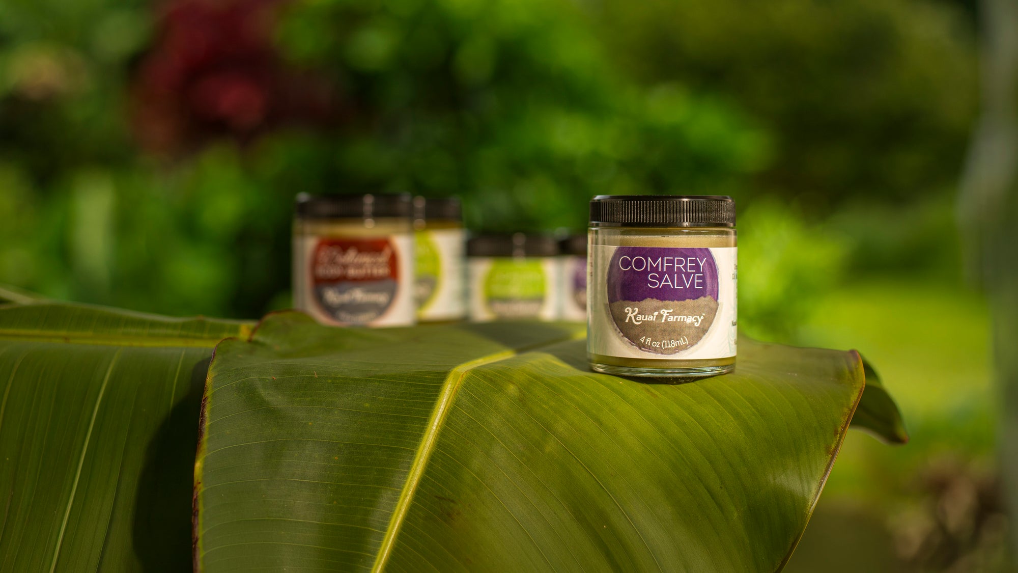 Kauai grown
