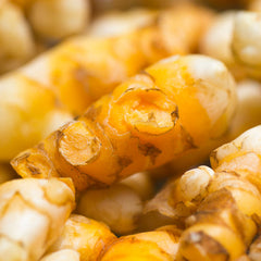 Turmeric