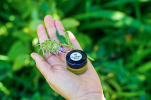 Comfrey Salve Sample 0.75oz