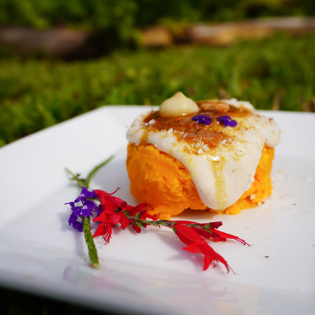 Eggfruit "Cheesecake"