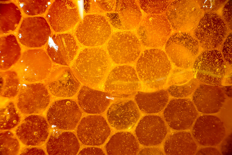 Raw Kauai Honey