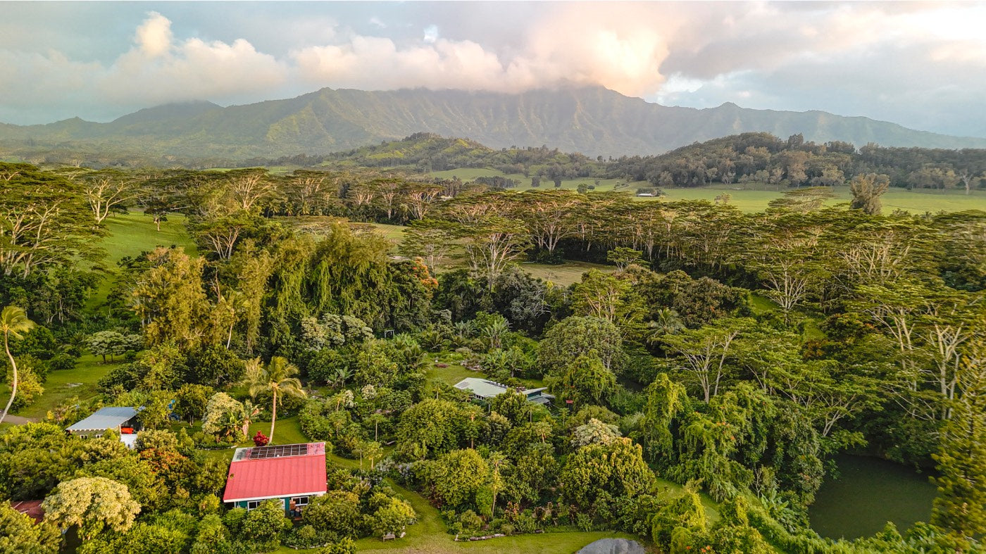 Aerial view of Kauai Farmacy at sunset