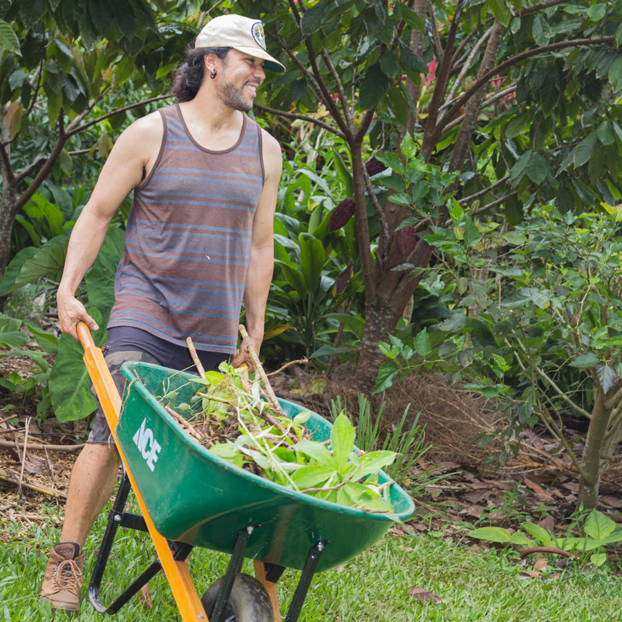 Wheeling a load of freshly cleared cuttings