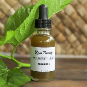 NEW! Mulberry Leaf Tincture