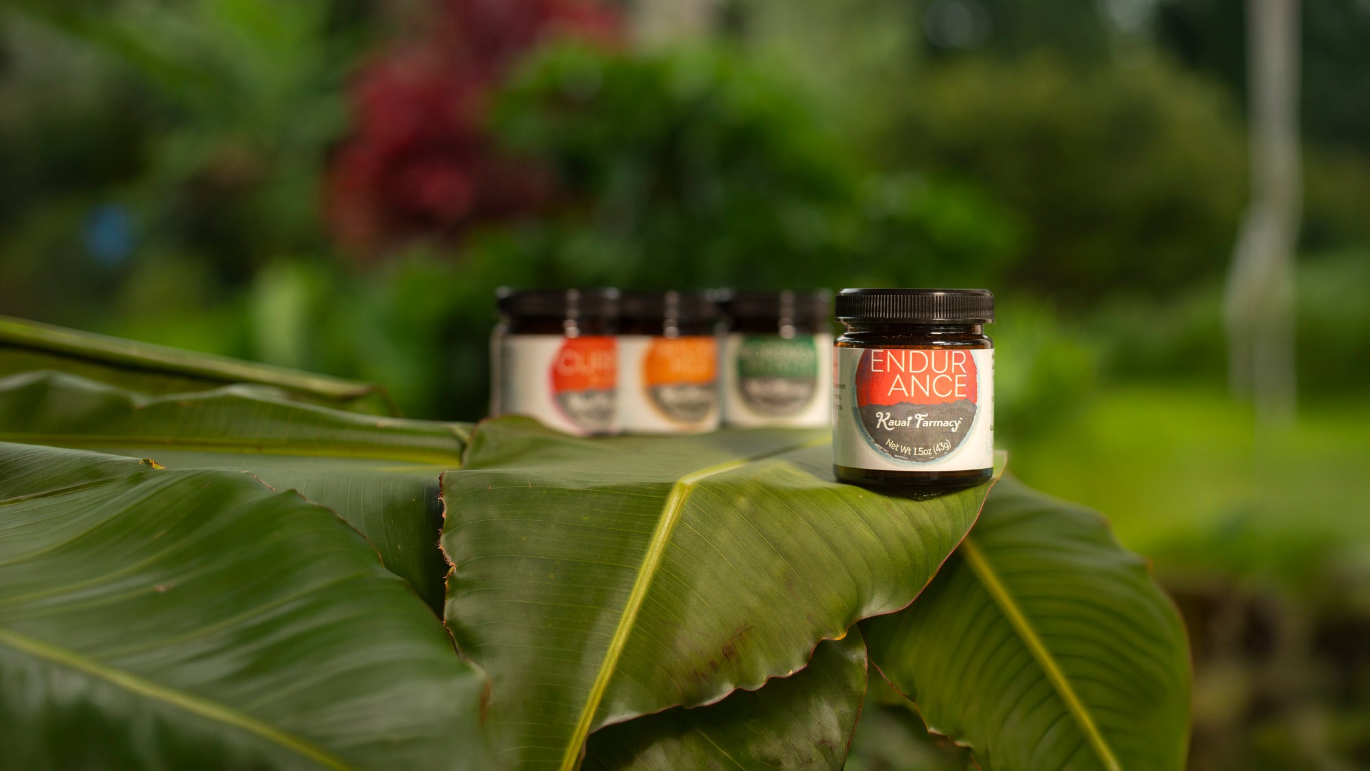 Kauai Grown