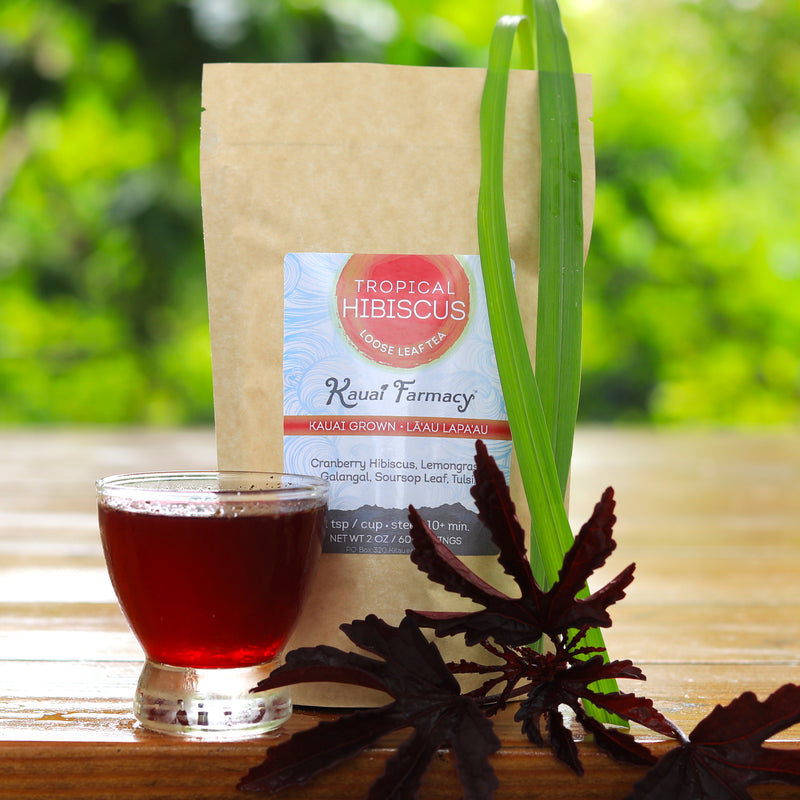 Tropical Hibiscus