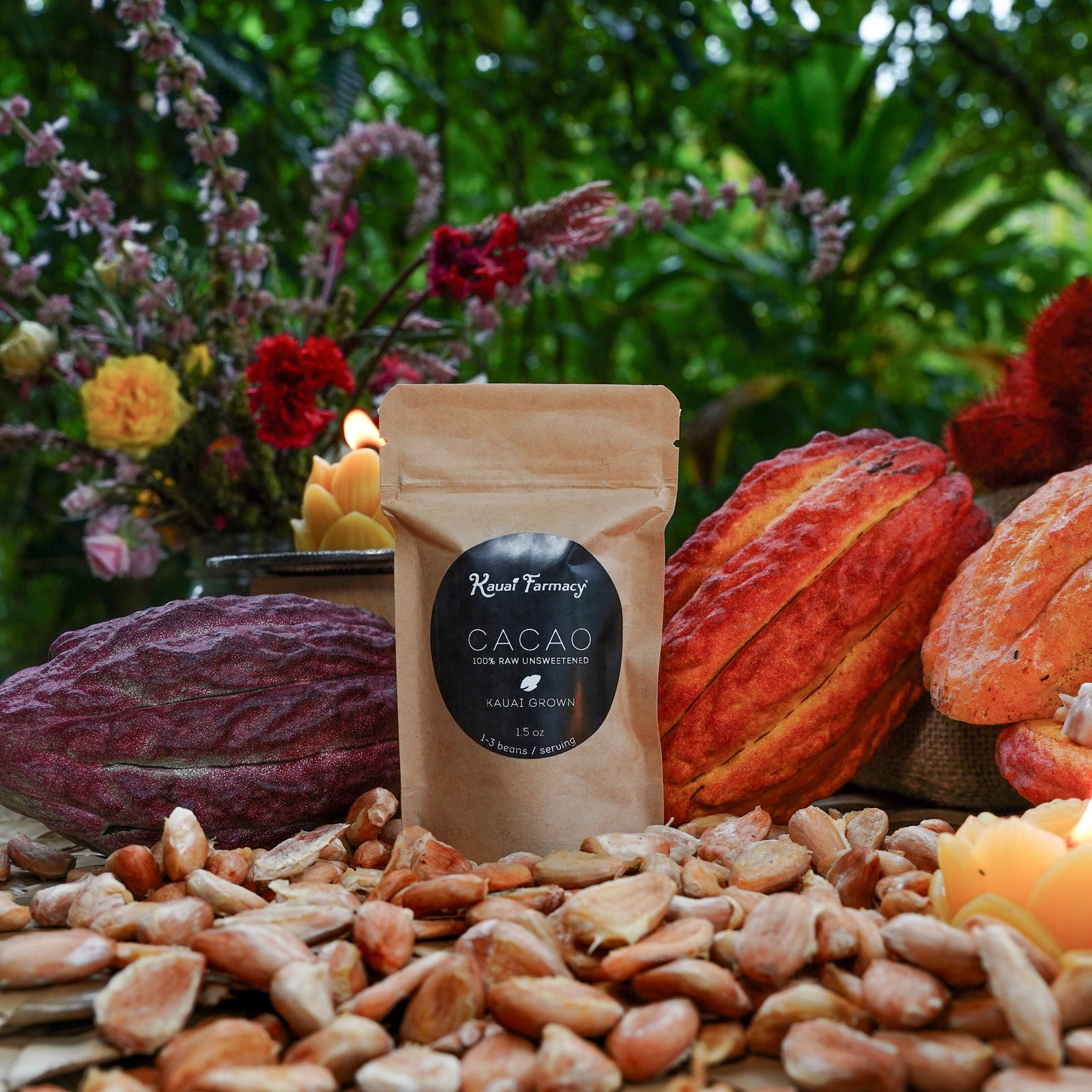 Cacao Beans — view 1 of 2