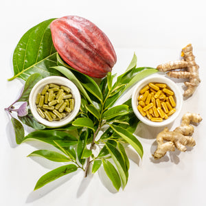 Longevity Turmeric noni cacao ginger soursop tulsi organic herbal supplement capsules plants