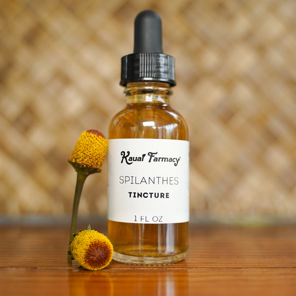 Spilanthes Tincture