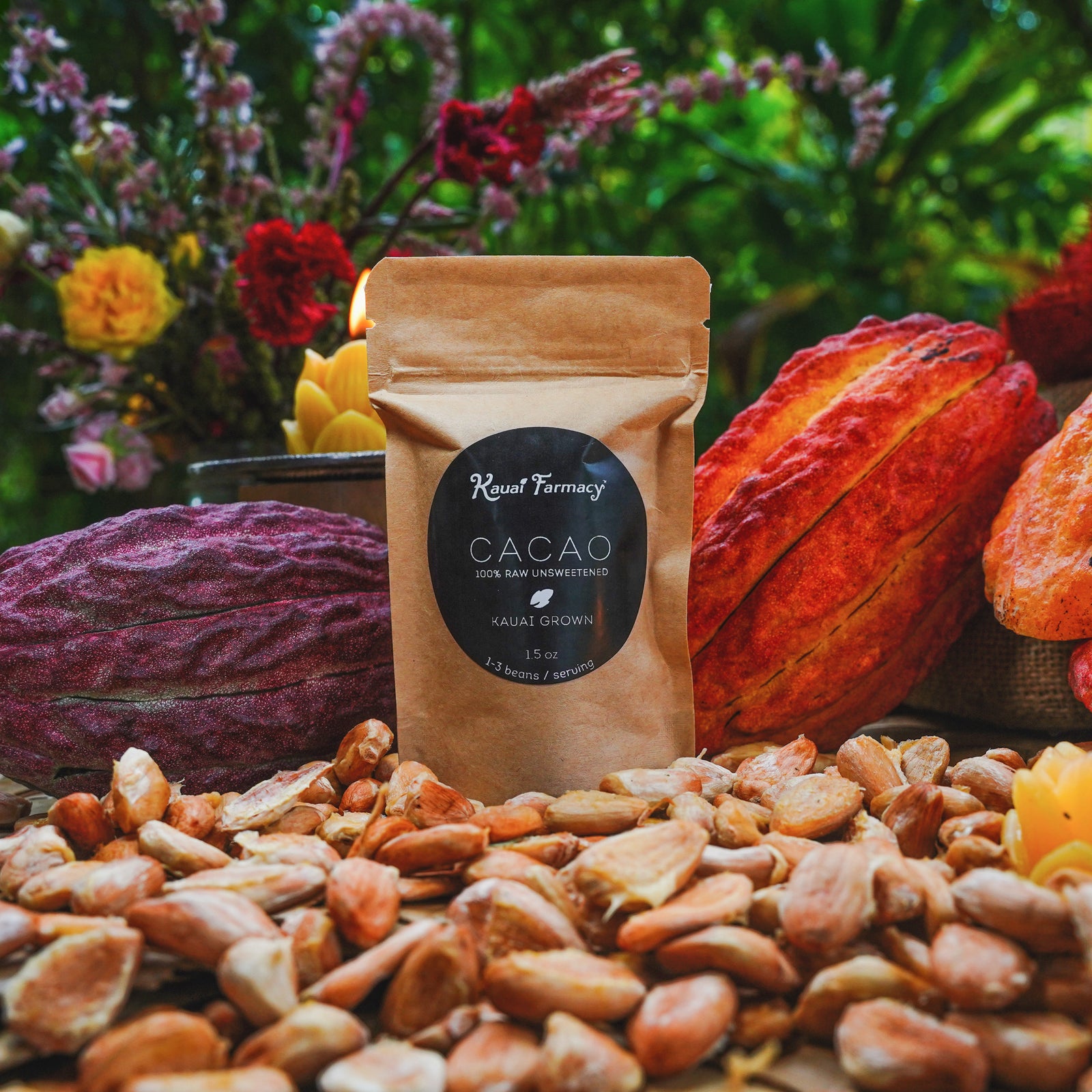 Cacao Beans — view 1 of 2