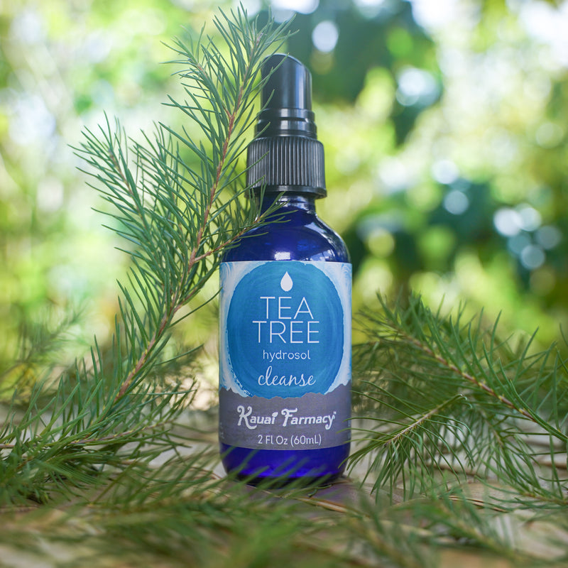 Tea Tree Hydrosol